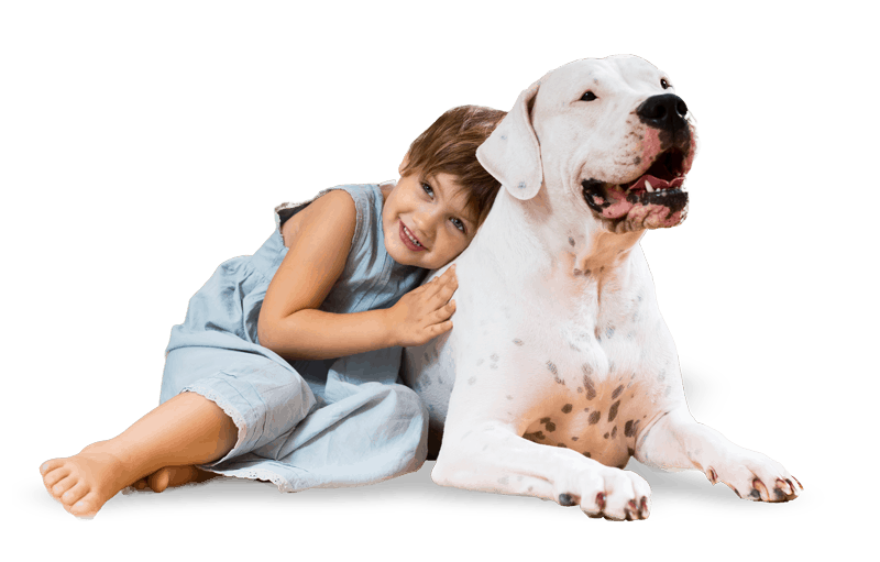 pet care services