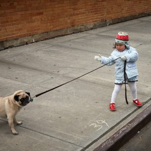 Leash Reactivity