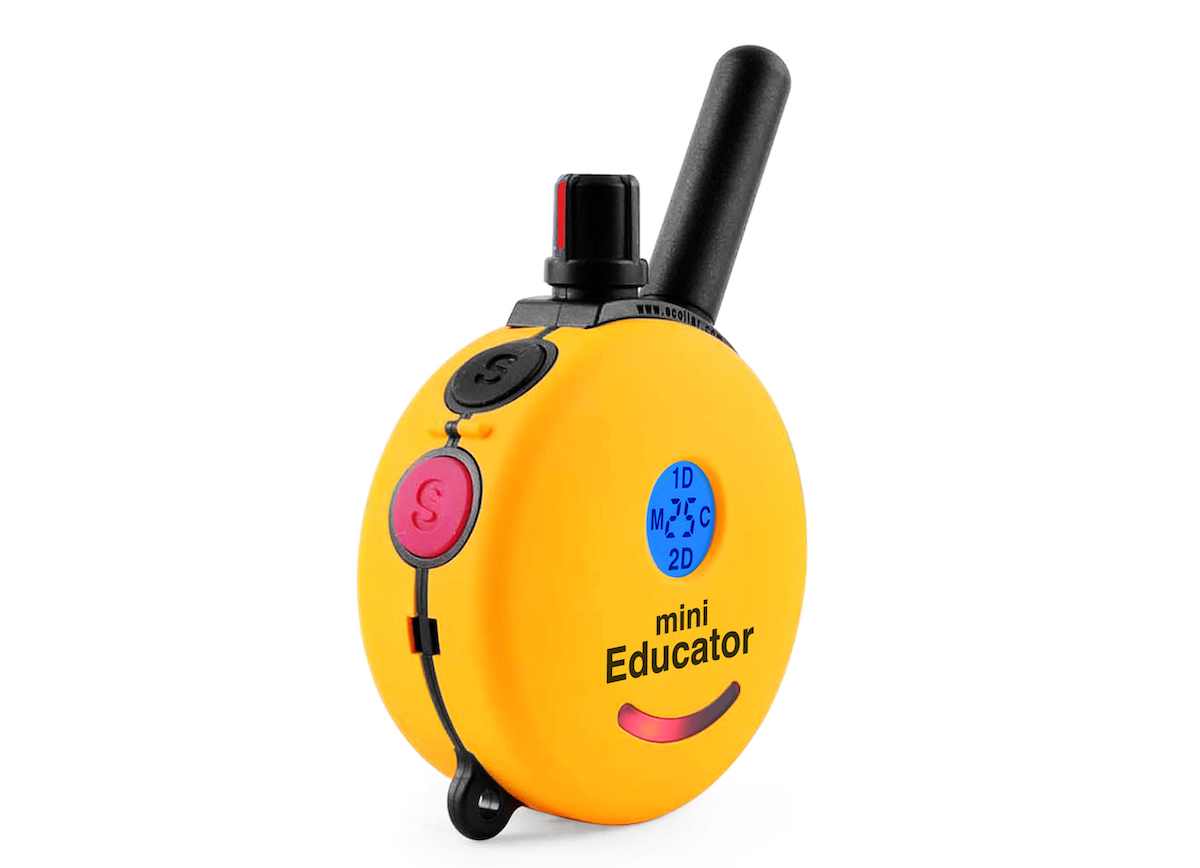 Mini educator 2 clearance dog